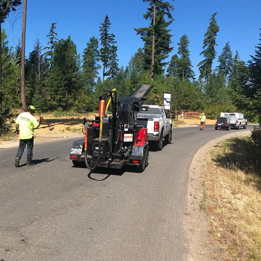 Crew and a crack-sealing machine on a road lined with pine trees