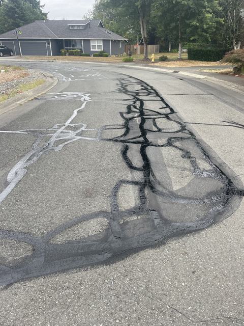 City streets in Carnation, WA: crack seal (photo 2)