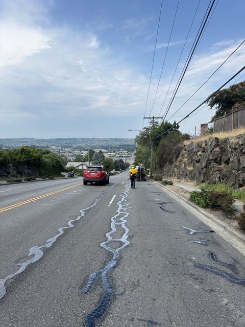 City streets in Kent, WA: crack seal (photo 3)