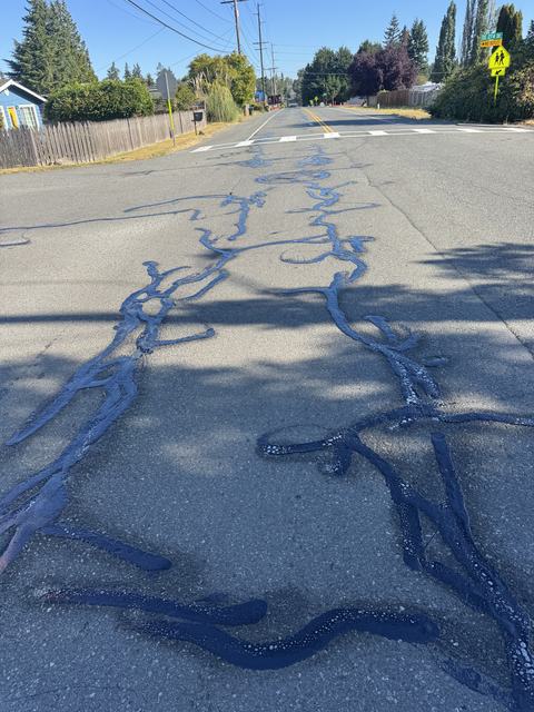 City streets in Kent, WA: crack seal (photo 4)