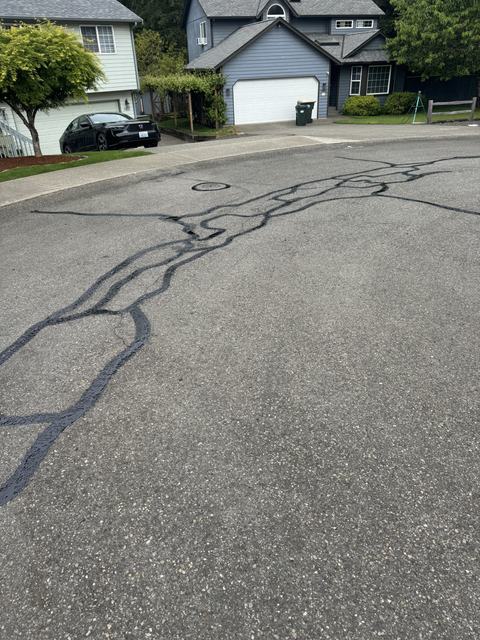 City streets in Lacey, WA: crack seal (photo 1)