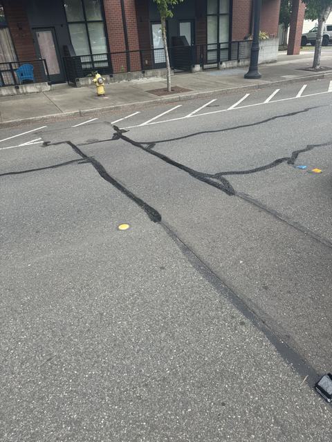 City streets in Lacey, WA: crack seal (photo 2)