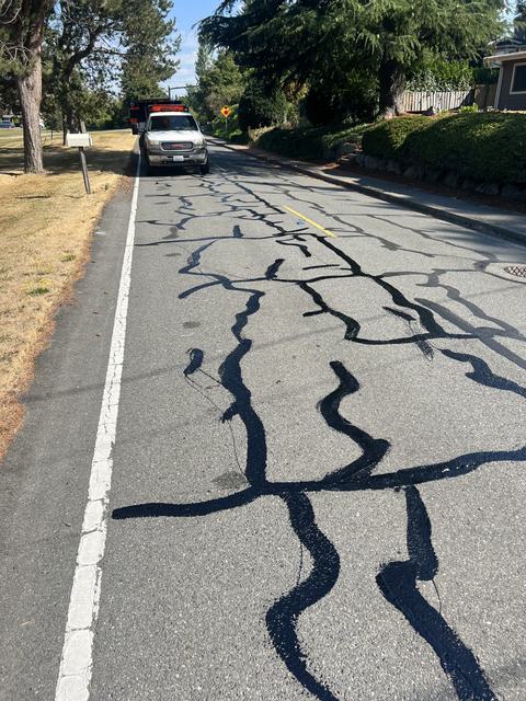 City streets in Medina, WA: crack seal (photo 1)