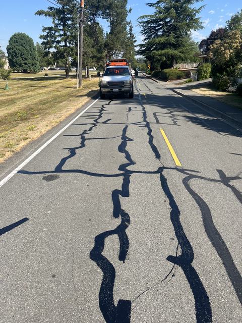 City streets in Medina, WA: crack seal (photo 2)