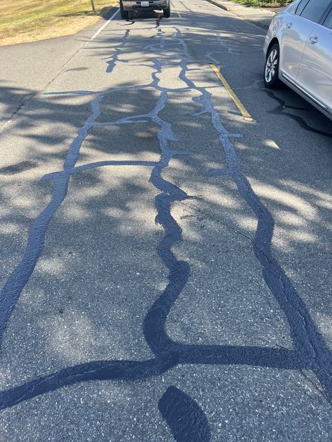 City streets in Medina, WA: crack seal (photo 3)