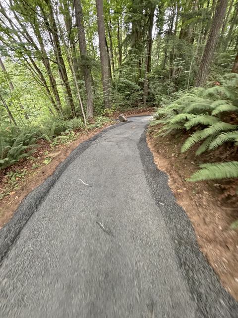 HOA community in Mill Creek, WA: walking path and lot work (photo 1)