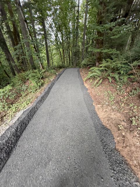 HOA community in Mill Creek, WA: walking path and lot work (photo 2)