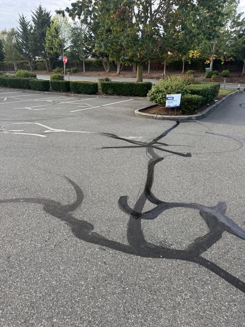 Retail center in Puyallup, WA: crack seal, sealcoat and striping (photo 2)