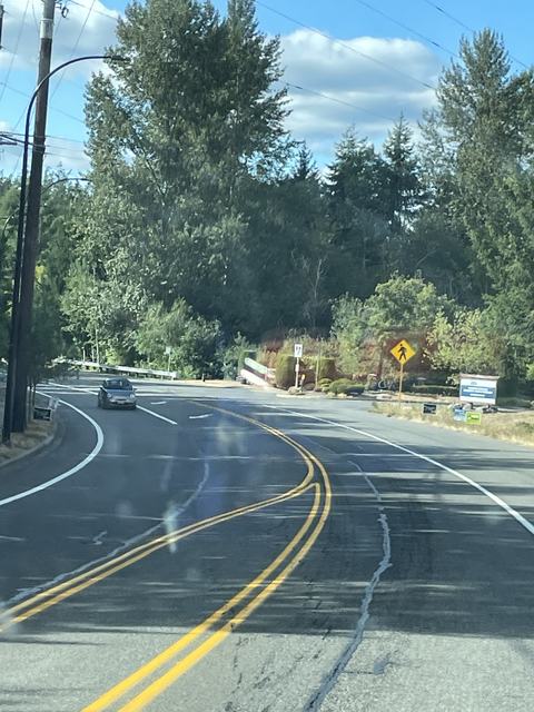City streets in Sammamish, WA: crack seal (photo 2)
