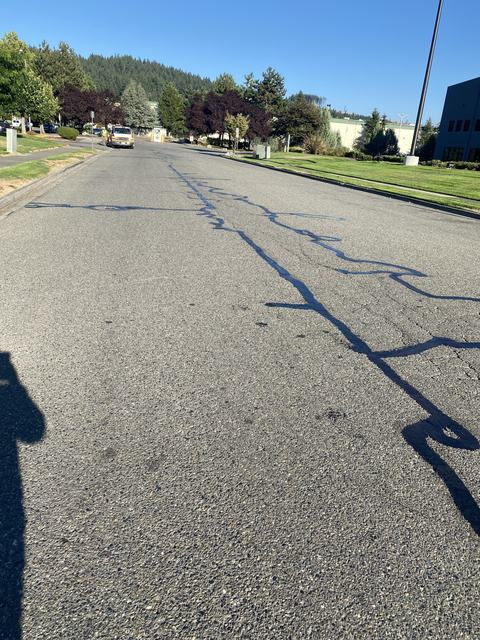 City streets in Sumner, WA: crack seal (photo 2)
