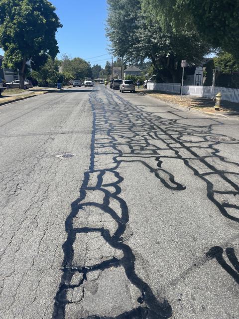 City streets in Sumner, WA: crack seal (photo 3)