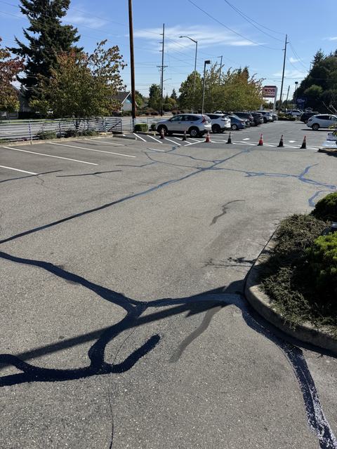 Retail center in Tacoma, WA: crack seal, sealcoat and striping (photo 1)